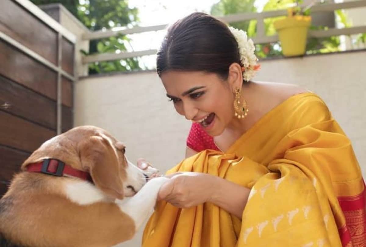 kriti kharbanda bridal look gorgeous photoshoot viral