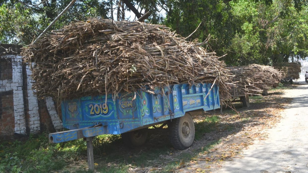 Sugar mills can bring goods from outside