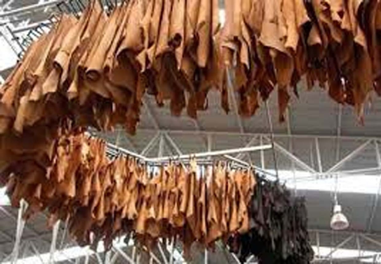 coronavirus news in kanpur, Orders worth one thousand crores of leather industry canceled