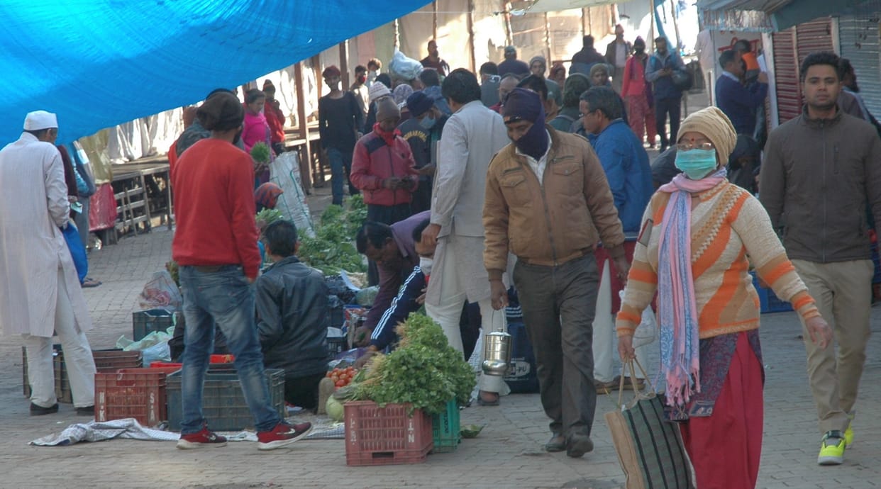 two samples will be sent ot haldwani