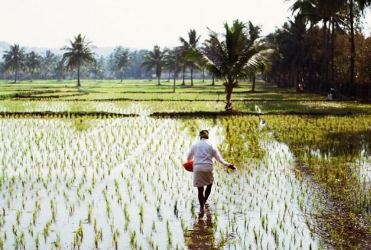 Coronavirus, Haryana Government Announced Relief for Farmers