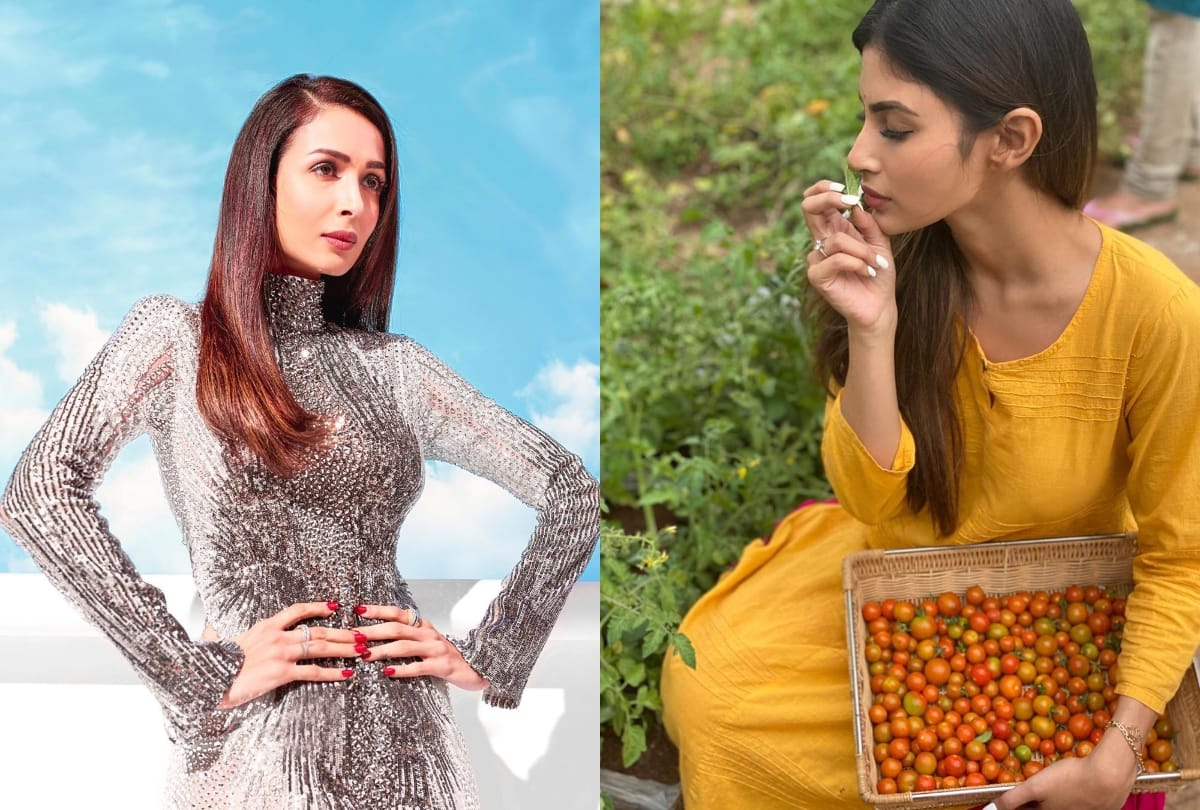 malaika arora to mouni roy making food in self quarantine period
