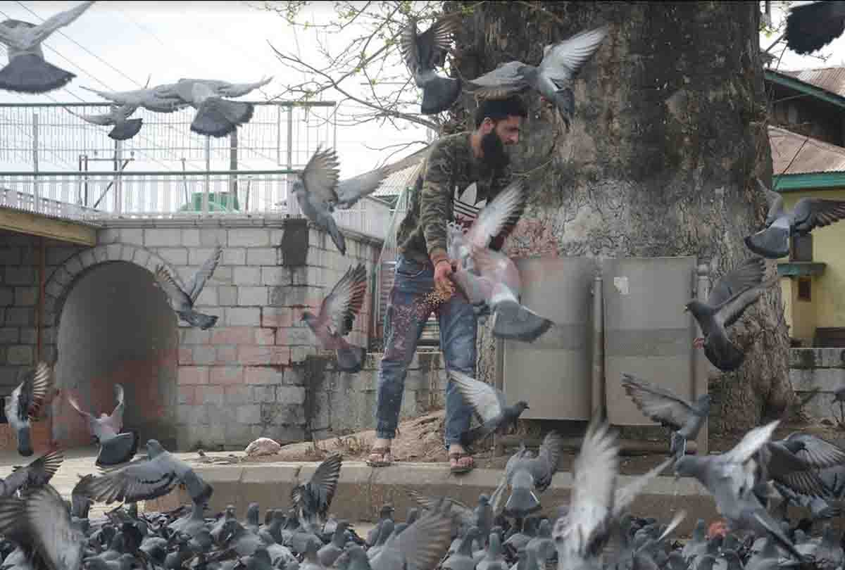 Lockdown and coronavirus jammu kashmir news, Silence in Kashmir valley due to Lockdown and coronavirus