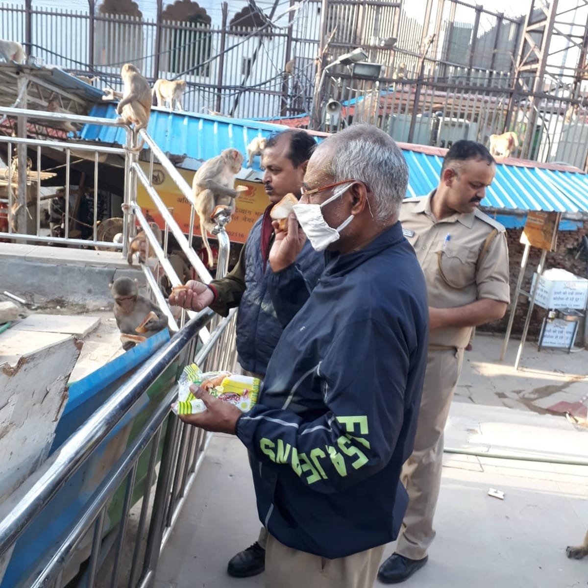 lockdown in varanasi Police fed monkeys food in kashi vishwanath temple coronavirus