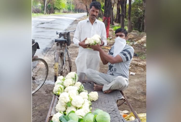 Coronavirus Punjab News in Hindi: Punjab's farmer help people during curfew