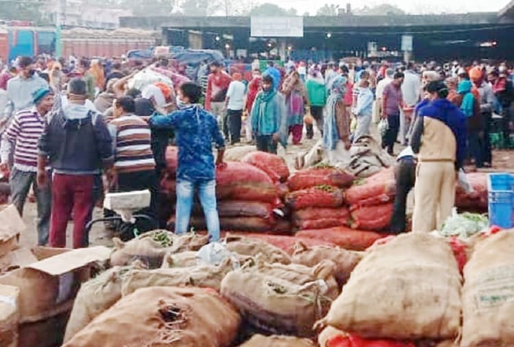 262 arrested in curfew violation, FIR registered against 170 in Punjab