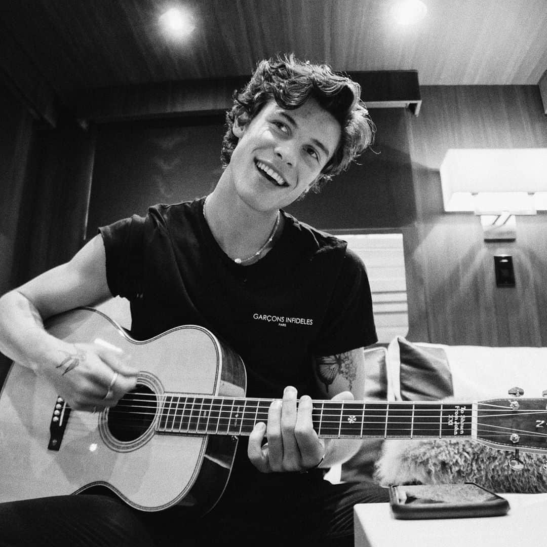 Coronavirus Shawn Mendes donate 175k dollars for Covid 19 affected