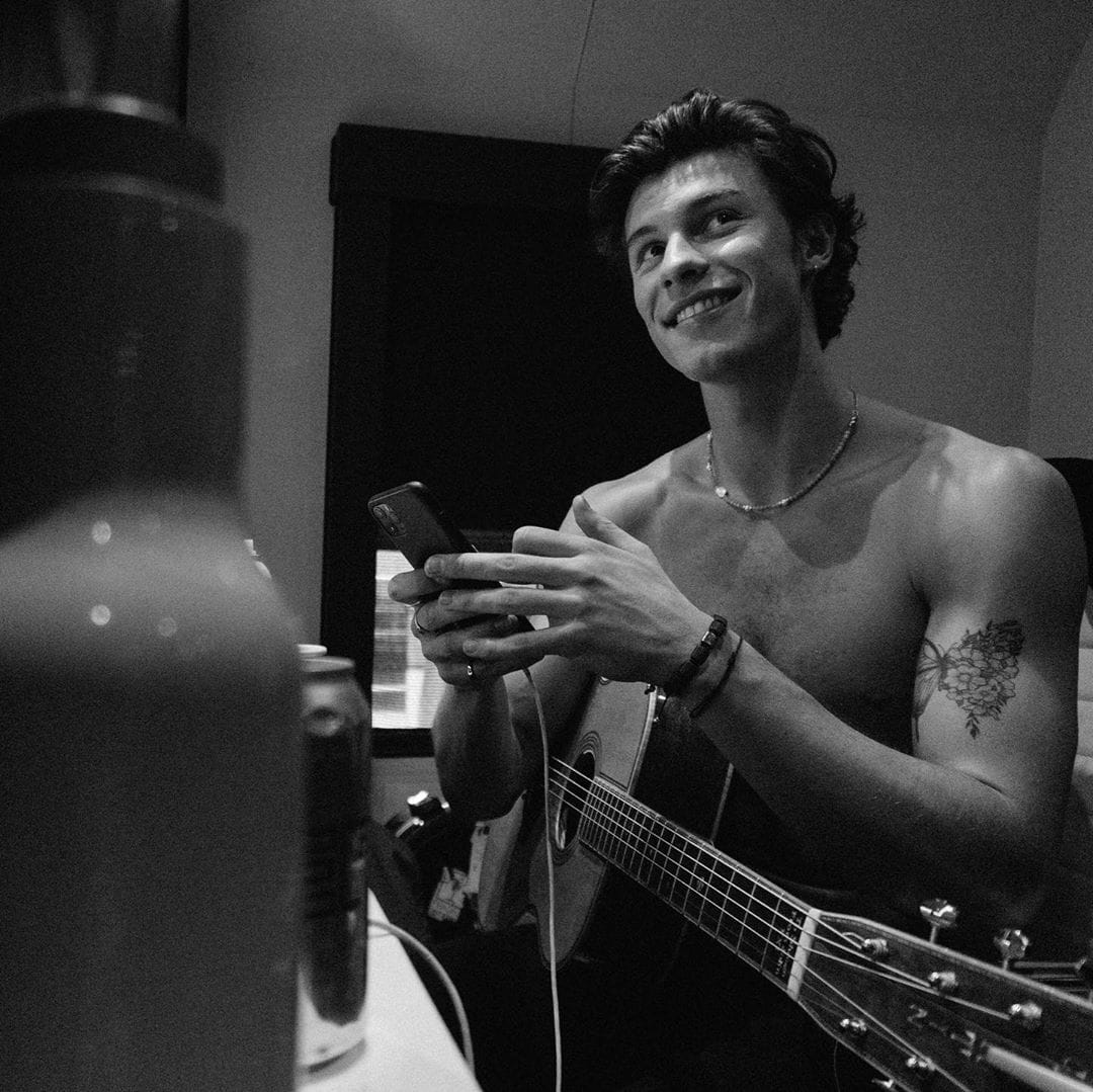 Coronavirus Shawn Mendes donate 175k dollars for Covid 19 affected