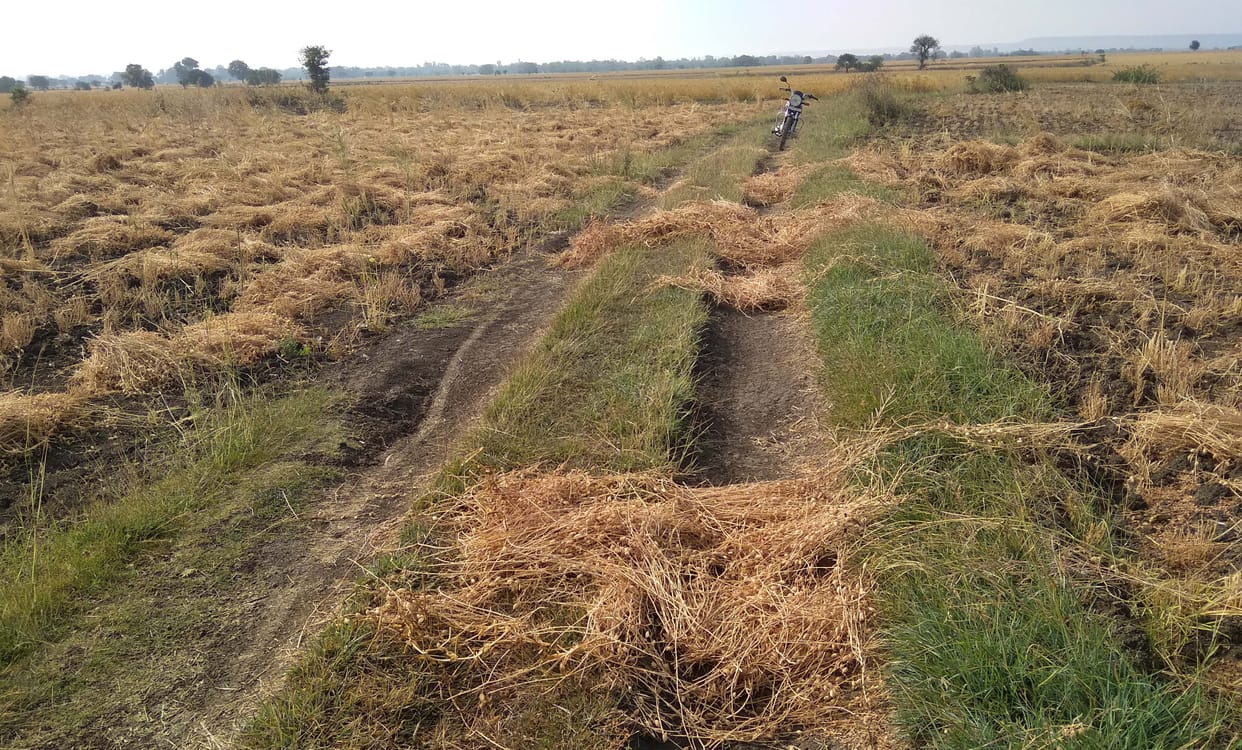 Crop are waist from aandhi and water