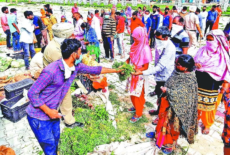 sector-49 Missing from vegetables, fruits and grocery list