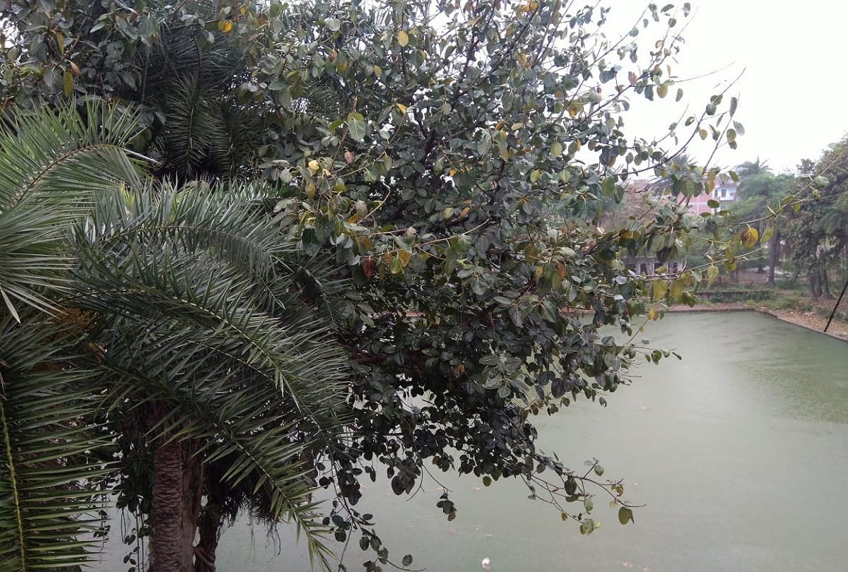 weather change due to strong winds in up