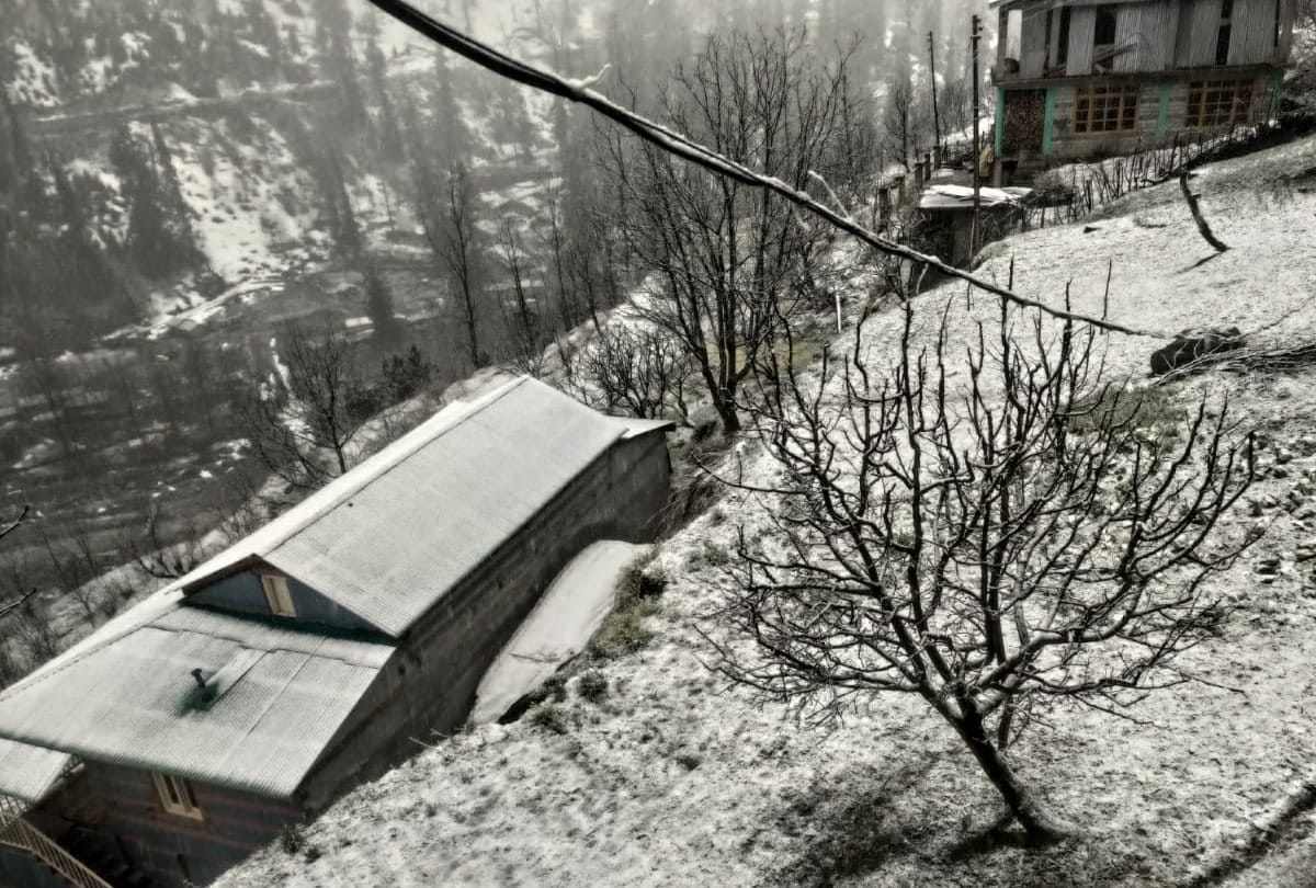 himachal pradesh fresh snowfall in kullu and manali