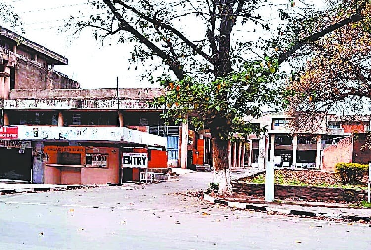 Two Task Forces set up in punjab university to fix the system, coronavirus, curfew