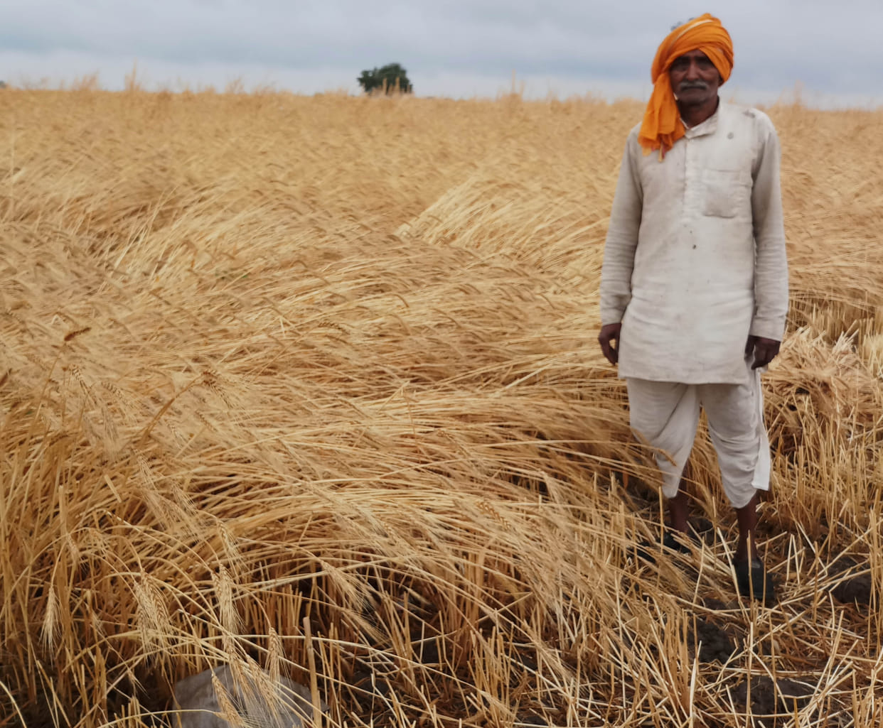 Aandhi Barish are waist crop