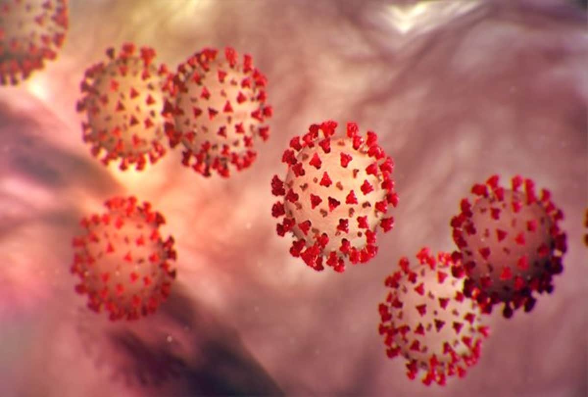 viral video of Anushka Sharma giving haircut to Virat Kohli in covid 19 coronavirus quarantine time