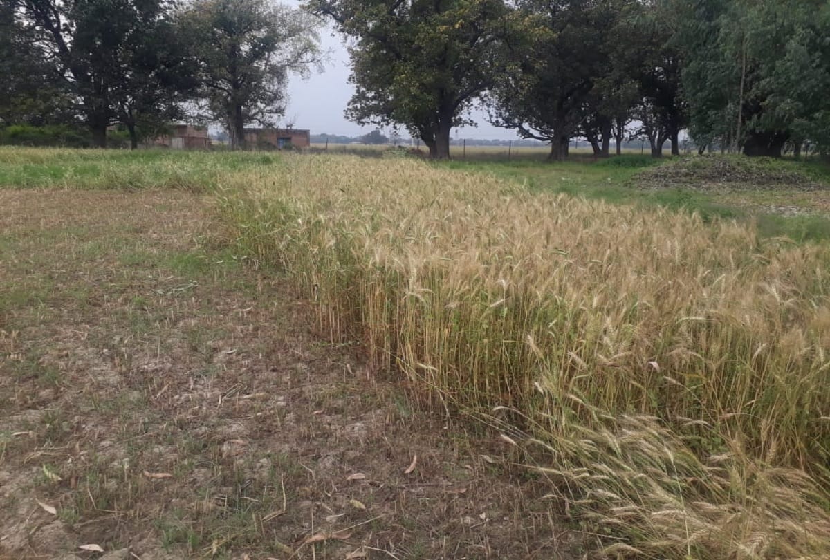 relief in lockdown for farmers