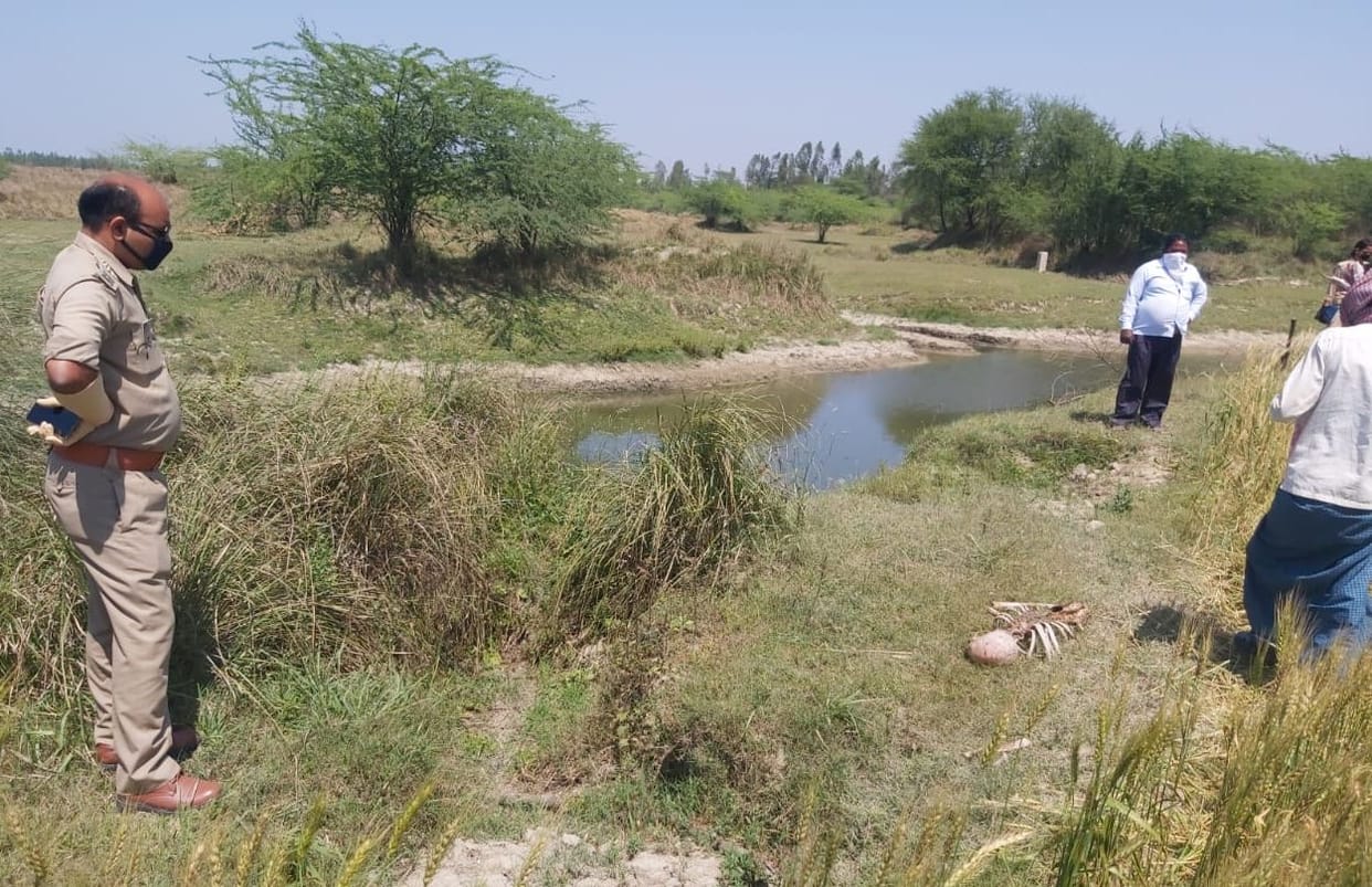 missing man skeleton found
