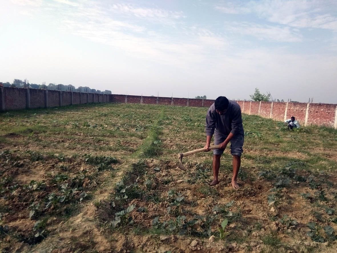 Farmers in worry, how wheat crop will be cut