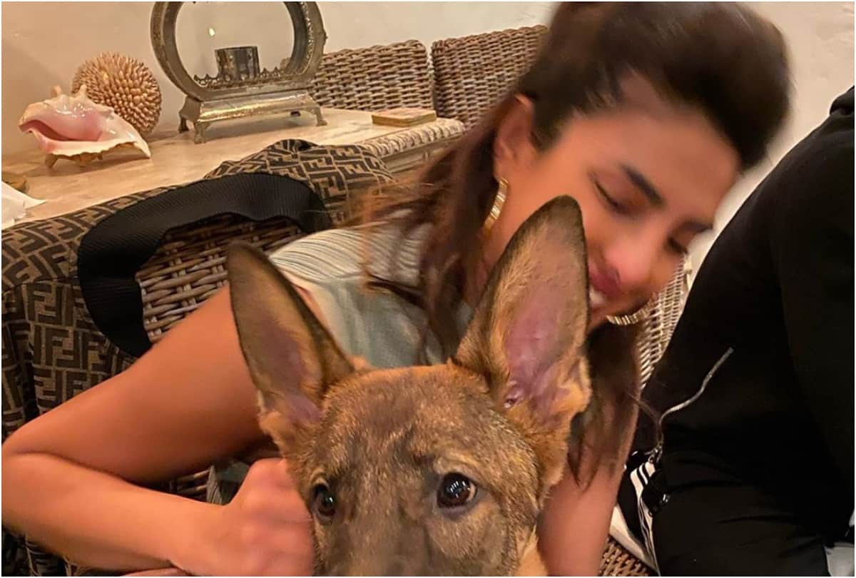 priyanka and nick jonas spend quality time in self quarantine time