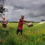 खेत में काम करता एक किसान
