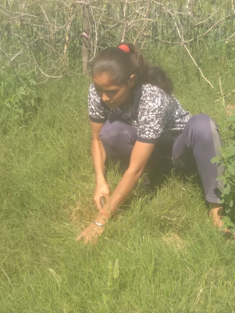If the practice of sports was banned due to Corona, the daughters of Mangali took over the field