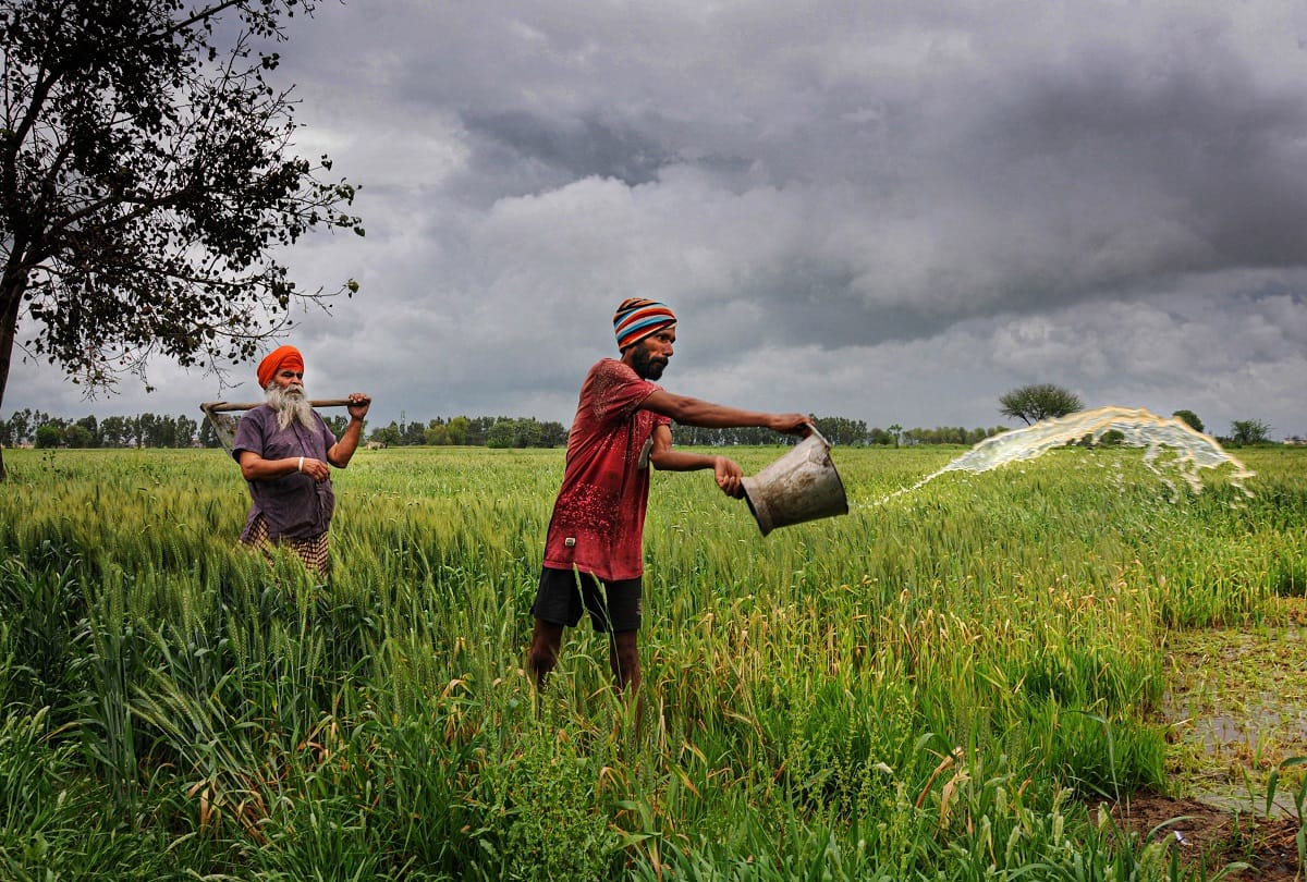 Climate change: diseases increase in paddy crop, flood and drought is spoiling mathematics