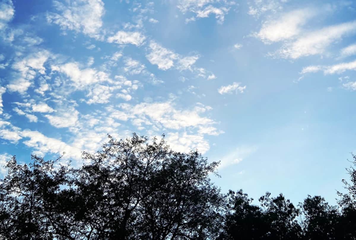 Delhi Weather After two days weather pattern will change IMD expressed possibility of light rain