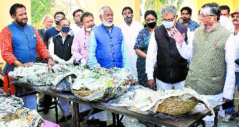 'Bhabhiji ki Rasoi' will distribute food packets to five thousand people daily at Nehru Yuva Kendra