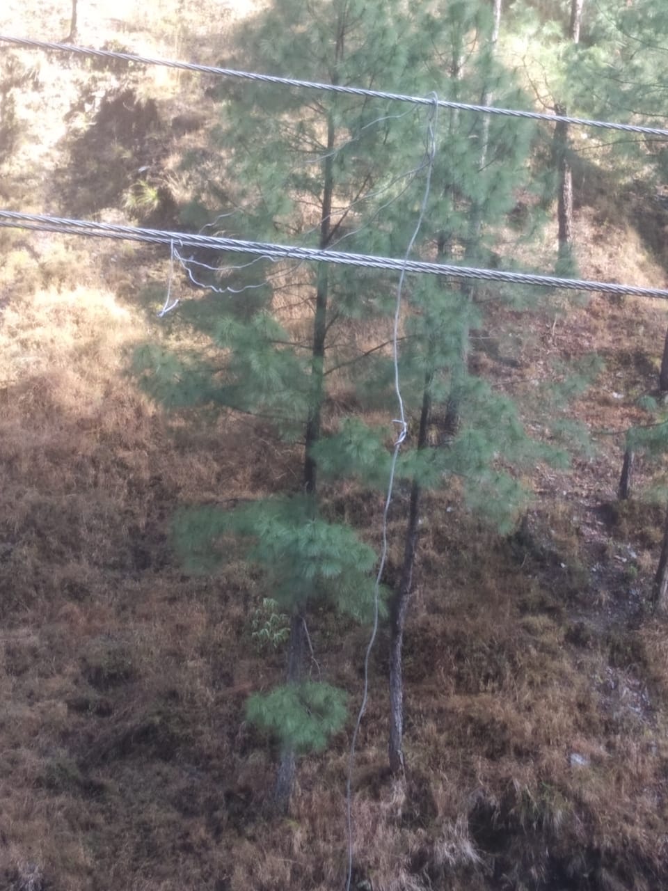 Crime In Hills