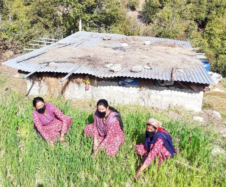 Farming in Didihat