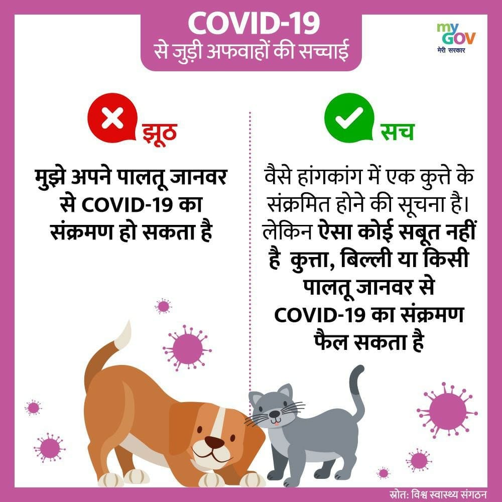 Can Bitter Gourd Help Cure Coronavirus, here is real truth of viral post