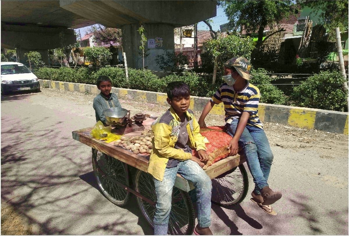 Aligarh lockdown story of two brothers who are compelled sell potatoes during lockdown days