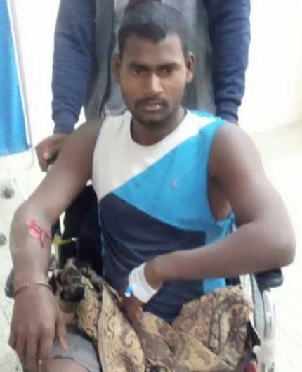 Worker seriously injured in pig attack