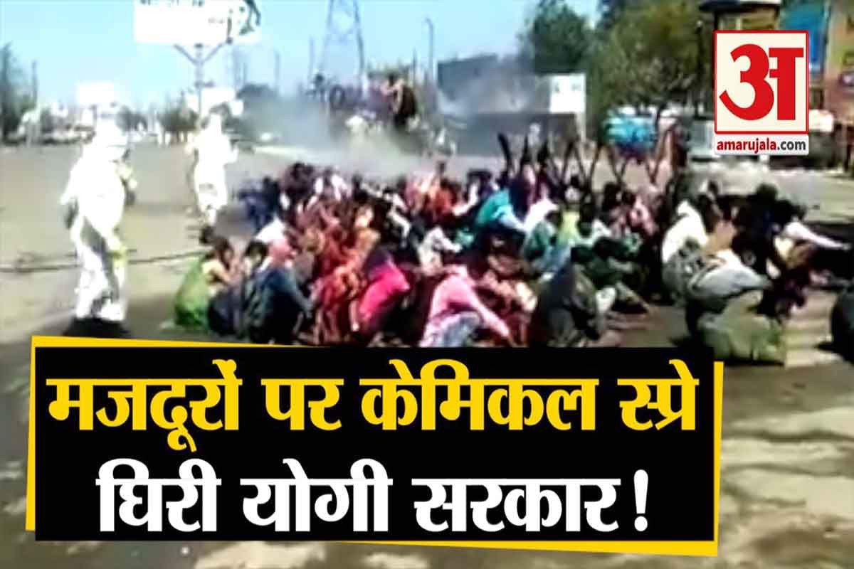 बरेली वीडियो