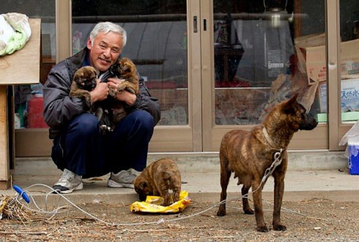 the guardian of animals Naoto Matsumura Lives Alone In A Radioactive Town tomioka in japan