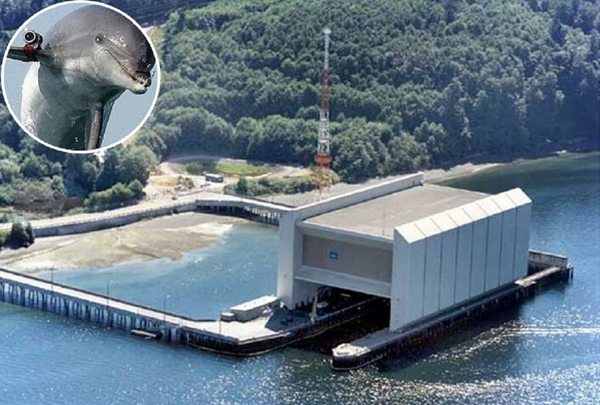 Dolphins and Sea Lions help defend the worlds largest stockpile of Nuclear Weapons