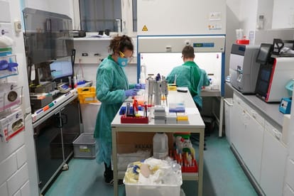 Covid-19 Why Germany Coronavirus Death Rate very Low?
