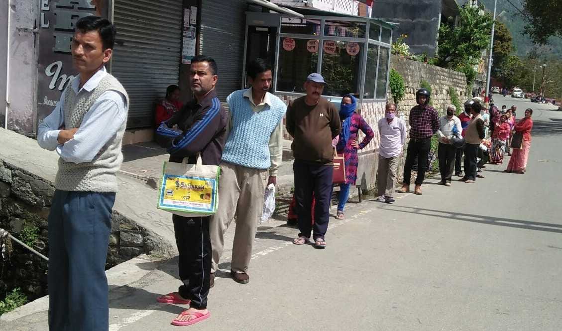 Line to buy turmeric seed