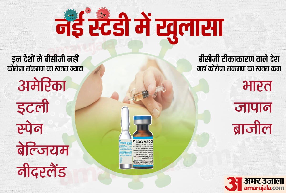 BCG Vaccine India Coronavirus News in Hindi: Research update TB vaccination in childhood may offer Covid-19 protection