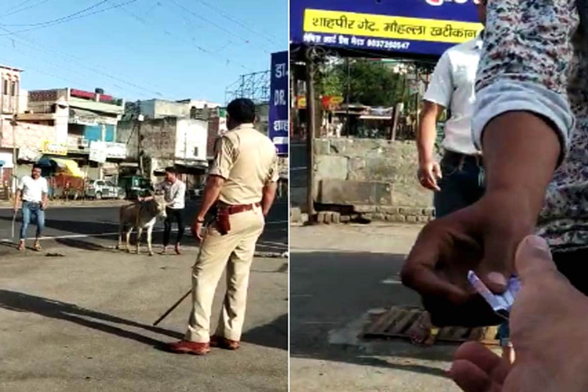 Meerut police Forced boys to ride a donkey,  punished to Squats For violation of lockdown