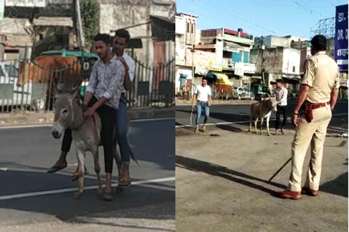 Meerut police Forced boys to ride a donkey,  punished to Squats For violation of lockdown
