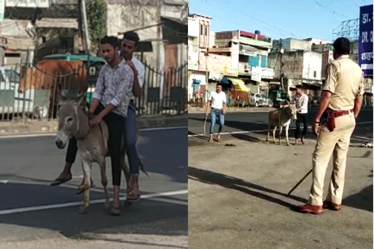 Meerut police Forced boys to ride a donkey,  punished to Squats For violation of lockdown