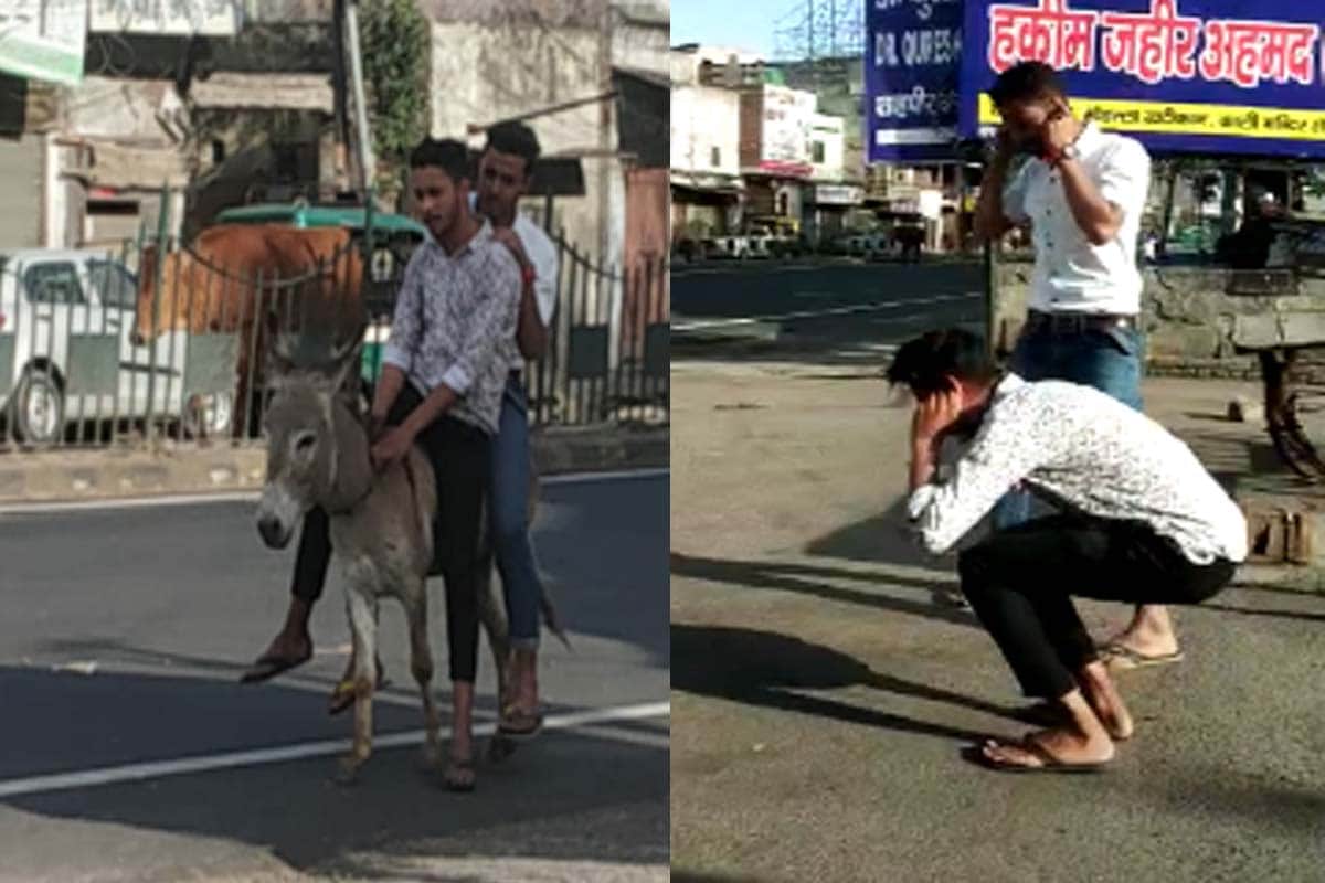 Meerut police Forced boys to ride a donkey,  punished to Squats For violation of lockdown