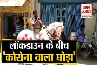 See horse painted with images of COVID-19 virus Between News Of Nizamuddin Markaz defied lockdown