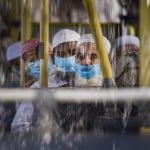 सांकेतिक तस्वीर