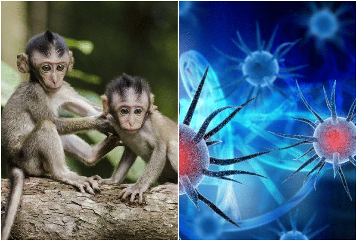 how to destroy coronavirus inside human cells by gene editing tools, develops in stanford universtity