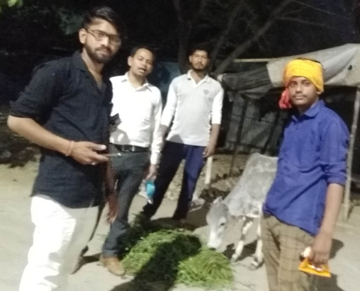 Ration-feed for humans and cattle