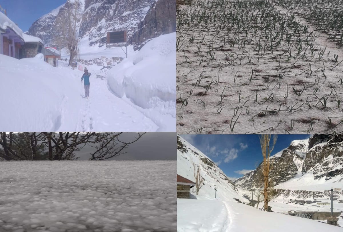 himachal weather report: snowfall in the peaks, hailing  in Kullu