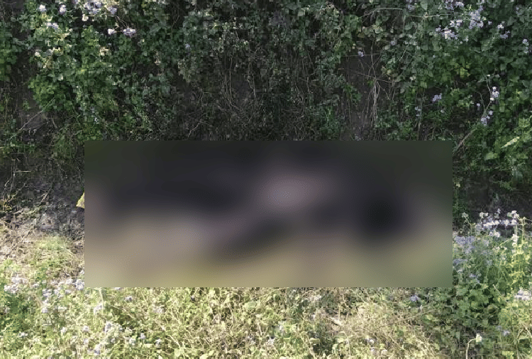 Burnt dead body found at Batala of Punjab