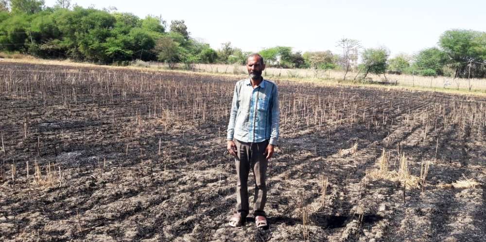 A fire broke out in the field due to falling of electric wire, three bigha crop burnt